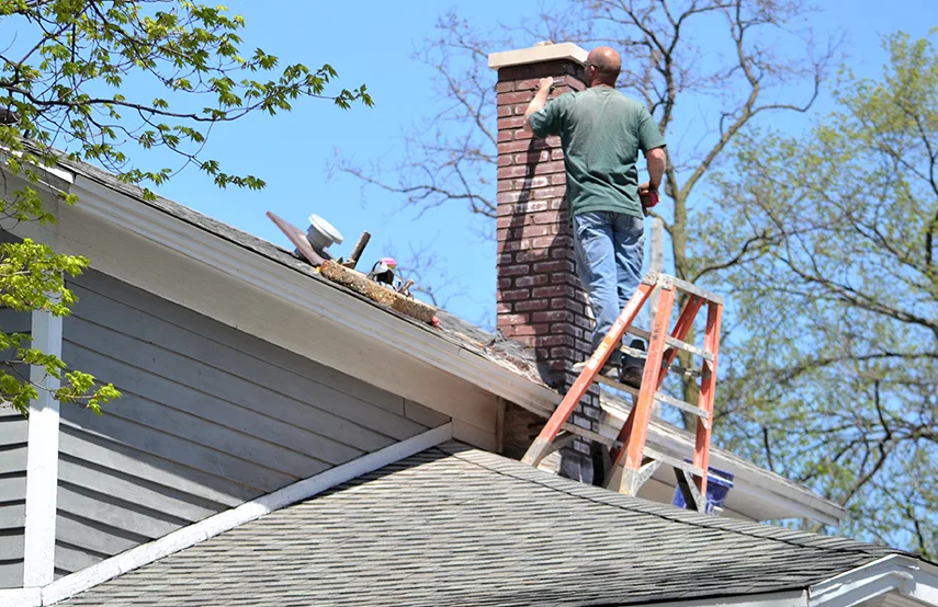 Chimney & Fireplace Inspections Services in Morton Grove, IL